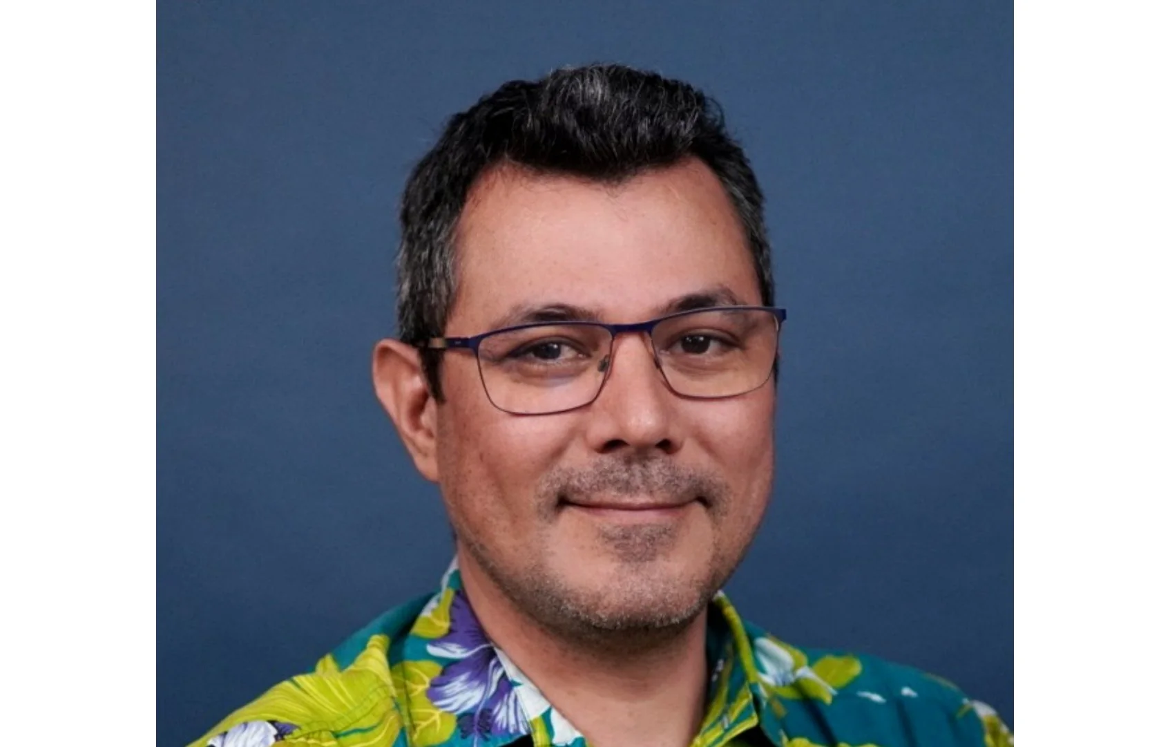 Hoani H. — Architect · AI Champion · Senior Software Developer · Team Leader & Speaker